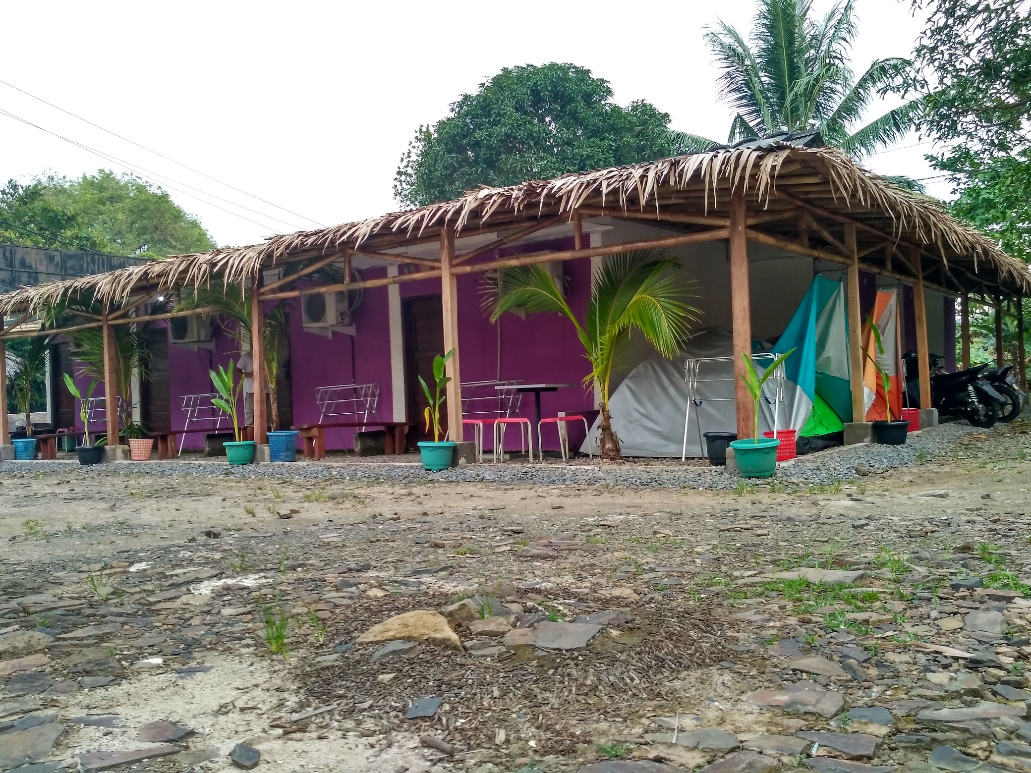 Fifi Homestay