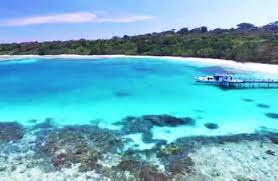 Terumbu Karang Pulau Panaitan
