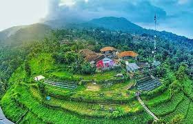 Wisata Agro Saba Juhut