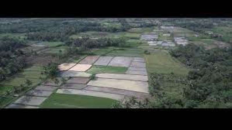 Situ Cikempong