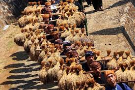 Kasepuhan Cisungsang