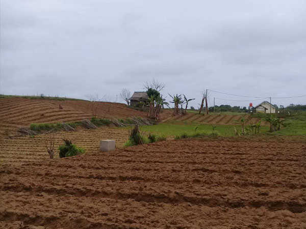 Desa Sukamanah