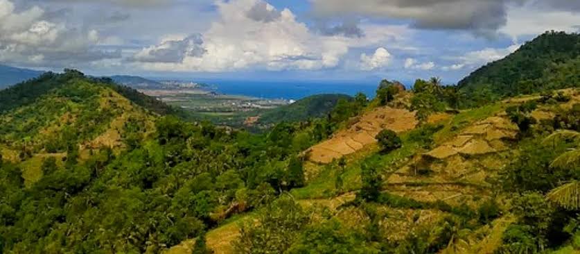 Agrowisata Gunung Batur Merak 